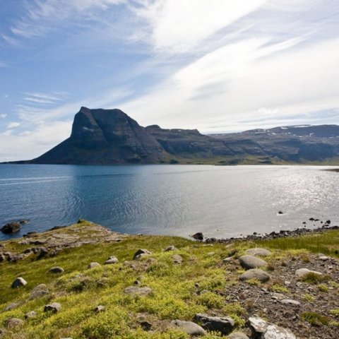 Fjords