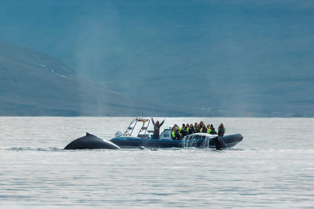 Northern Westfjords Image 22