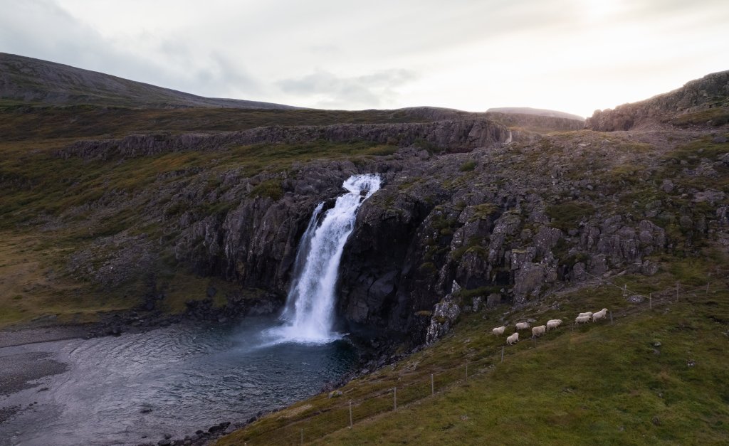 Southern Westfjords Image 7