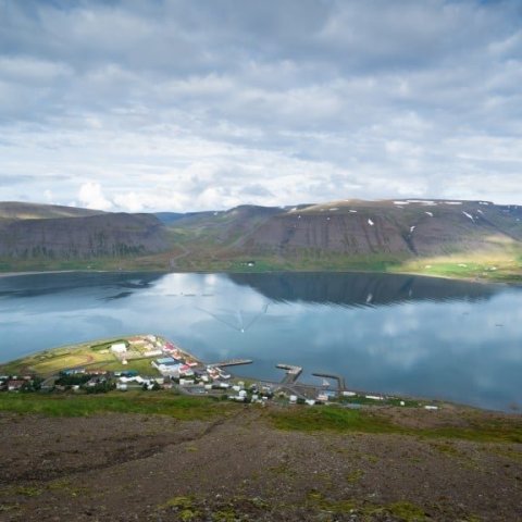 Þingeyri