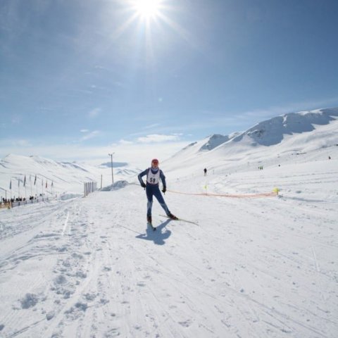 Cross-country skiing